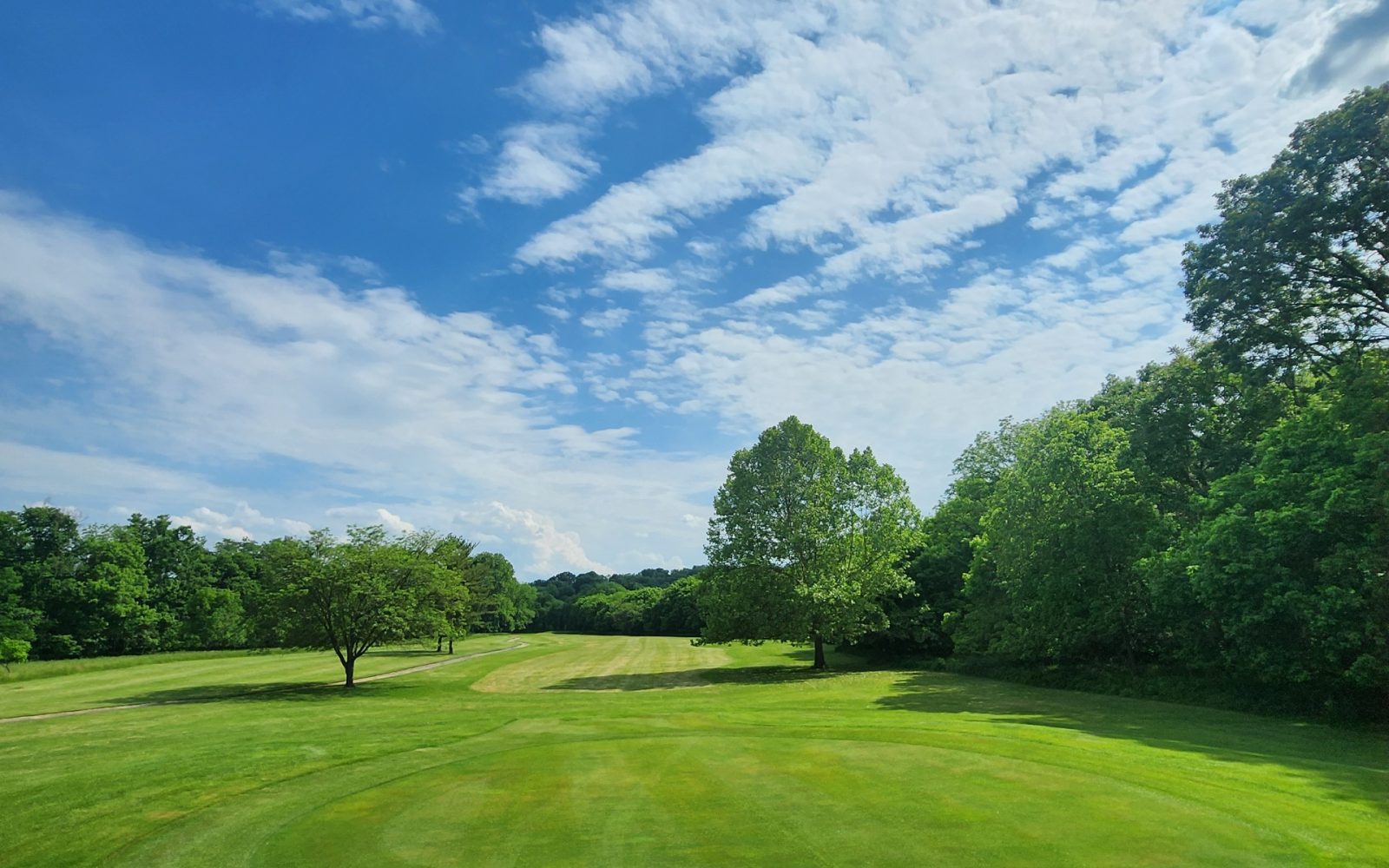 Resized_20240523_160845_1716494966339