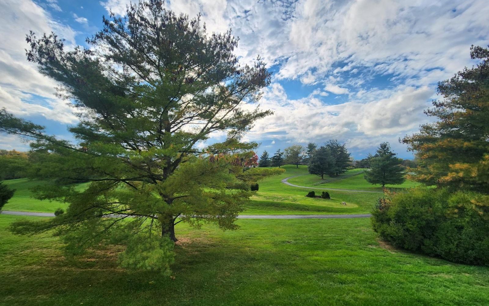 Resized_Resized_20231020_163720