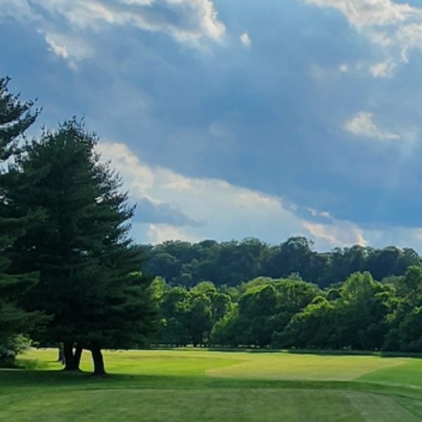 Resized_Screenshot_20240524_204727_Gallery_311083582954818_1717709656836