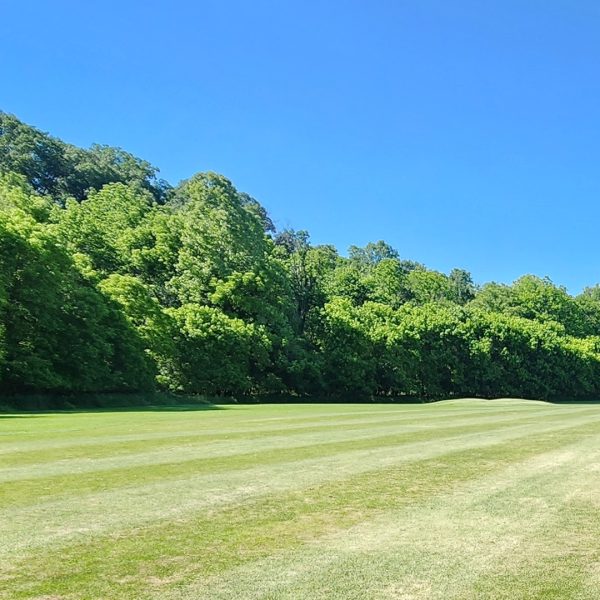 Screenshot_20240601_203157_Photos